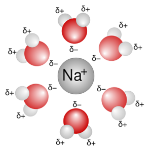 Formation of Sodium Ion